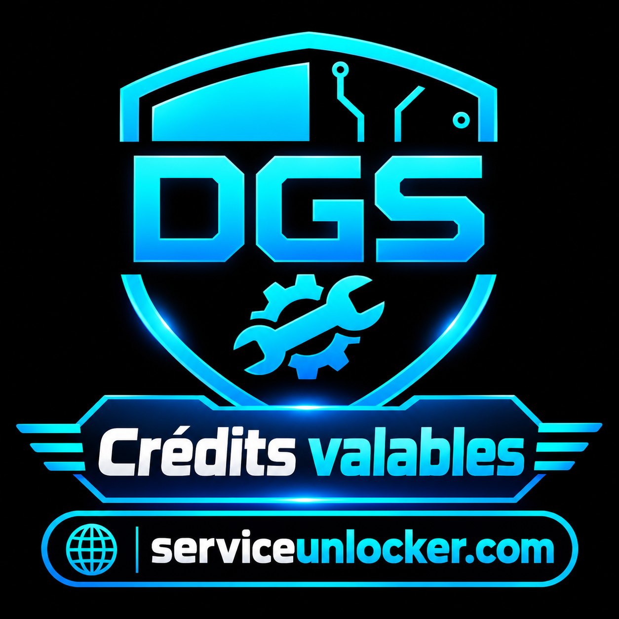 DGS TOOL CRÉDIT