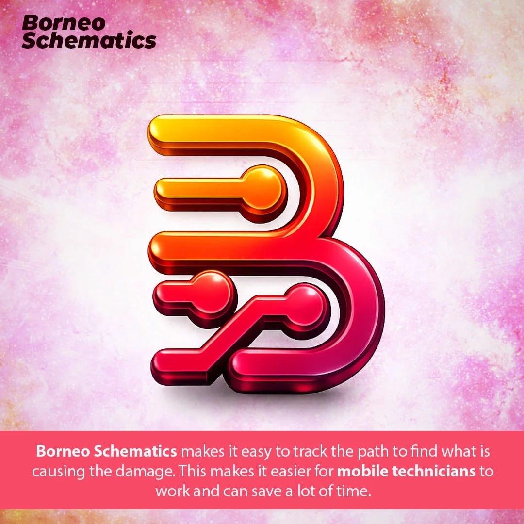 Borneo Schematics License [ 2PC New-Renew / 3 Months] Activition Code